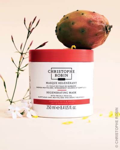 CHRISTOPHE ROBIN