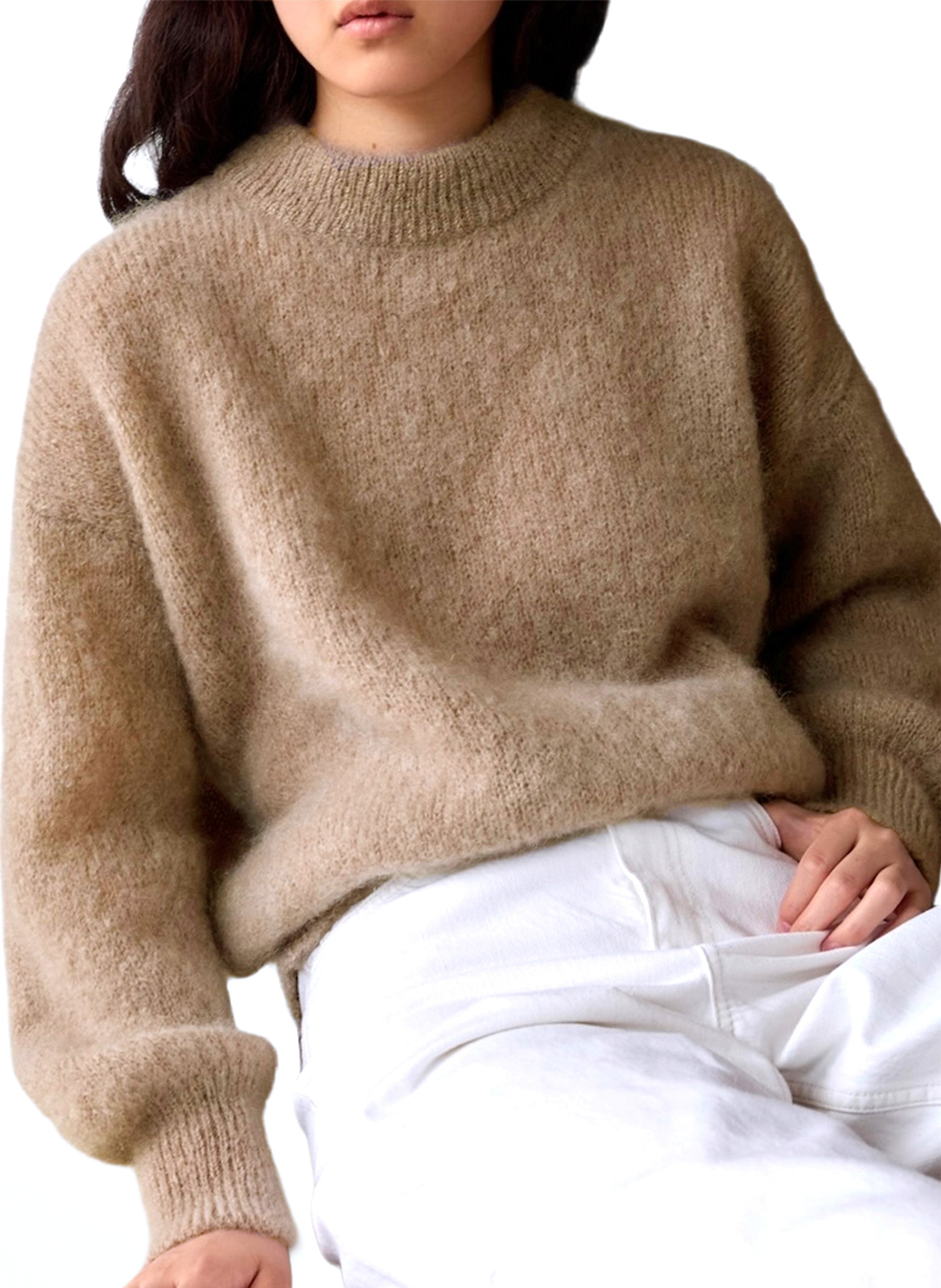 Pull col rond en laine mélangée SURPRISE Beige