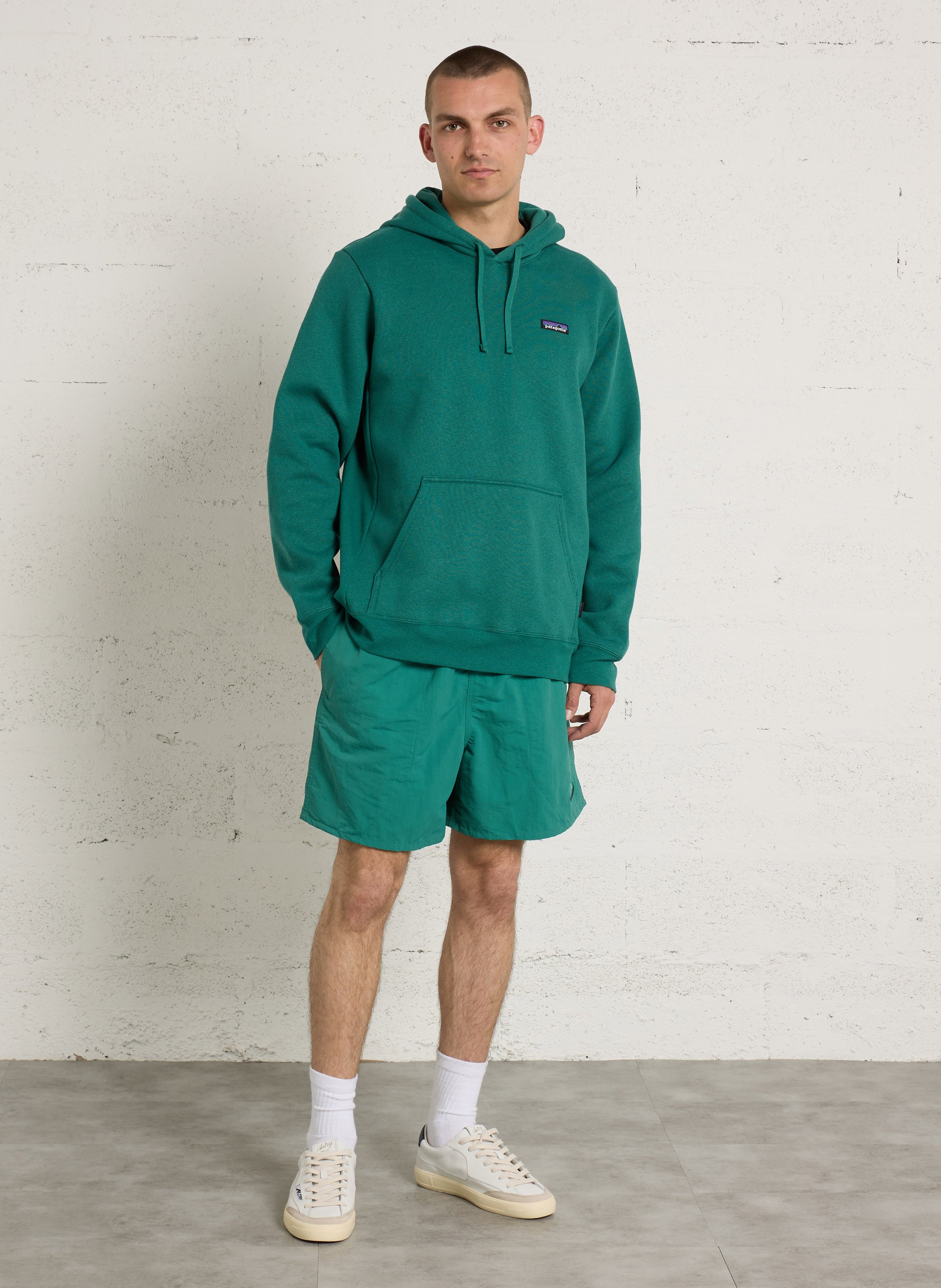 Sweat à capuche uni PATAGONIA Vert