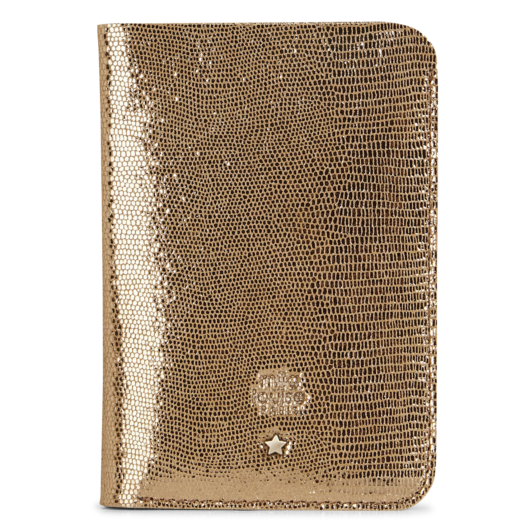 Etui van papier en glanzend leer MILA LOUISE Groen