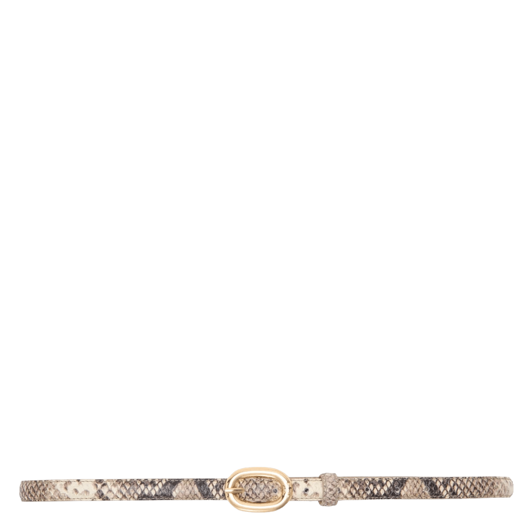 Thin leather python belt MAJE Multicolored