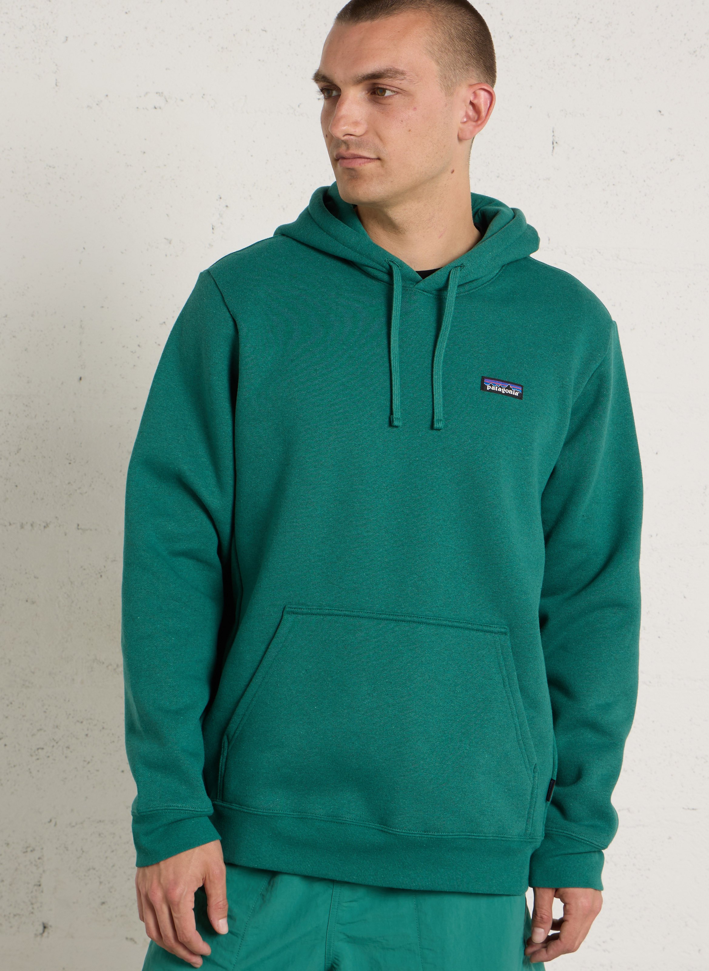 Sweat à capuche uni PATAGONIA Vert