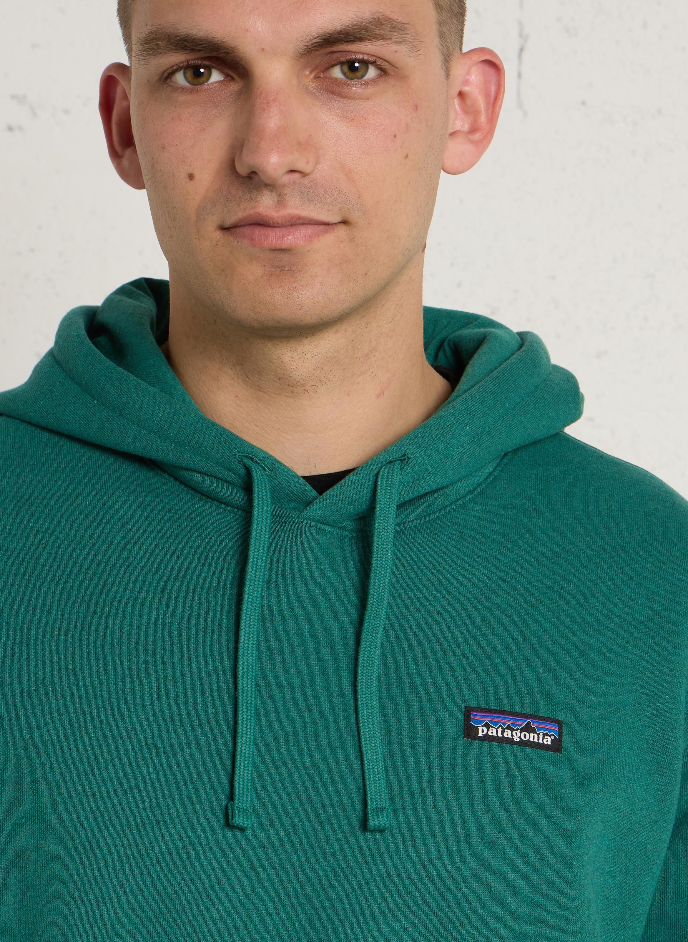 Sweat à capuche uni PATAGONIA Vert