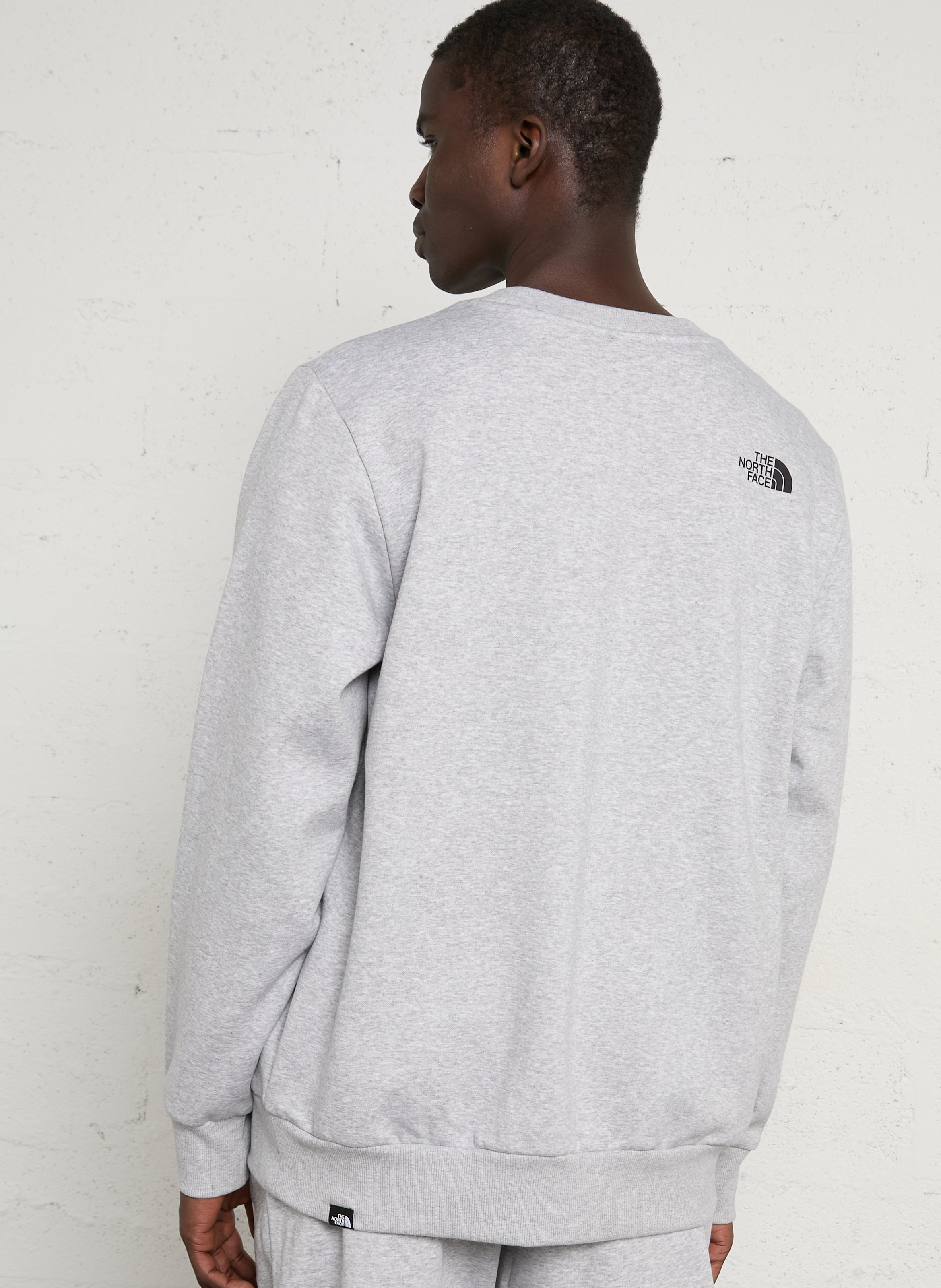 Straight round neck sweatshirt with screen-printed design in blended cotton THE NORTH FACE Grey
