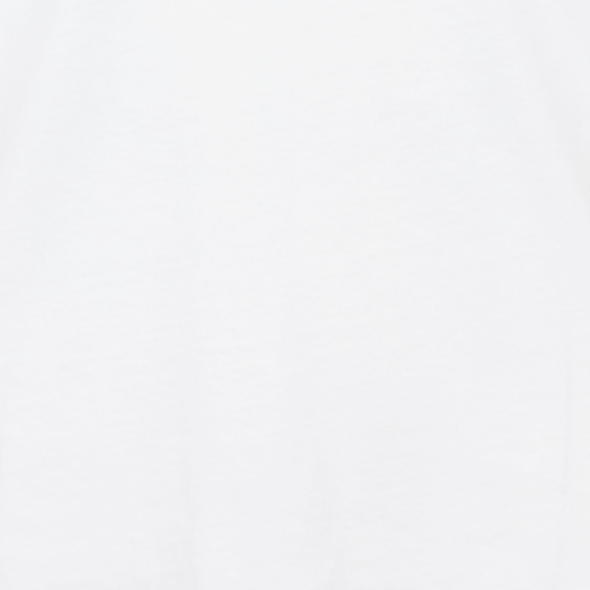 Tee-shirt col V en coton MAJESTIC FILATURES Blanc
