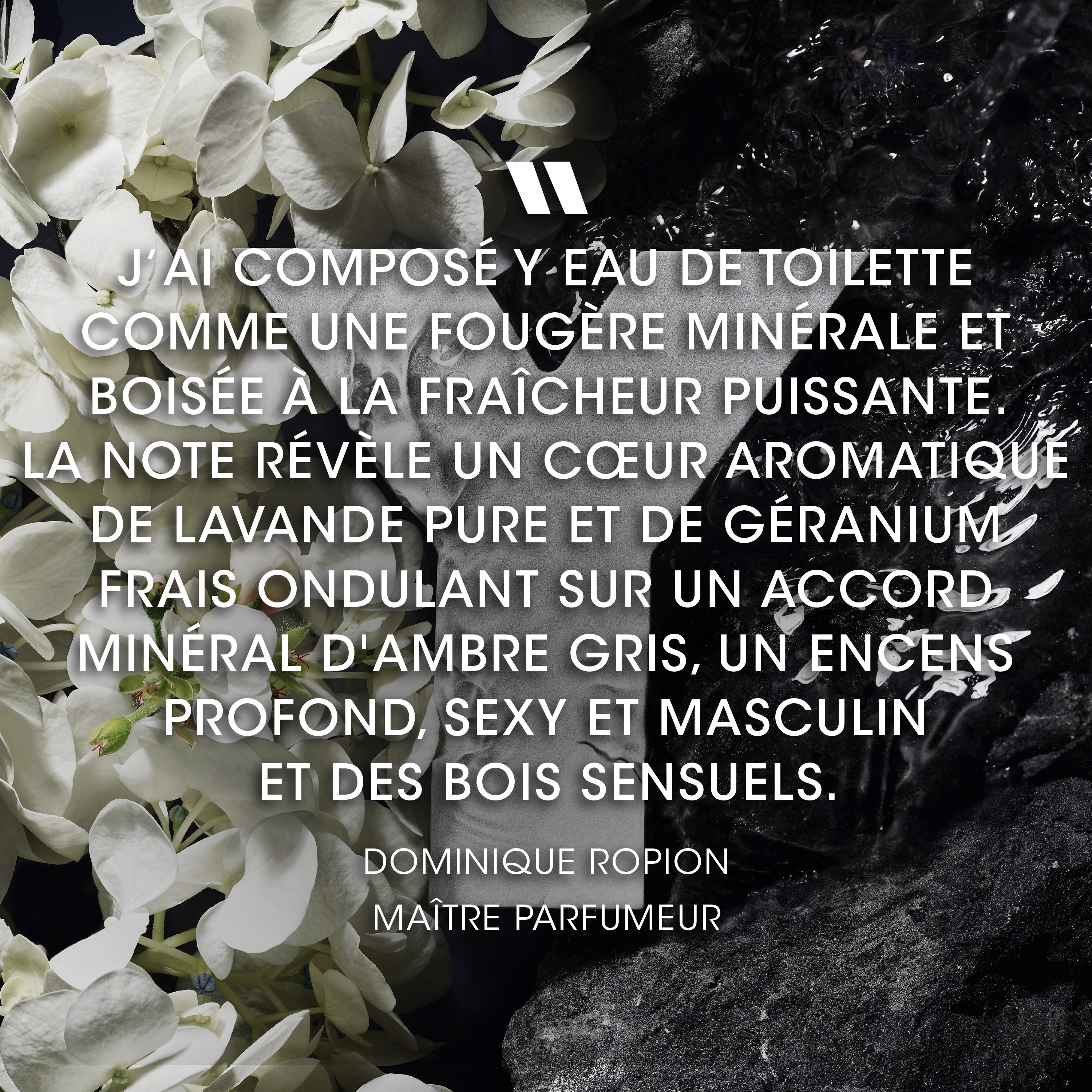 Y Eau de Toilette YVES SAINT LAURENT No color