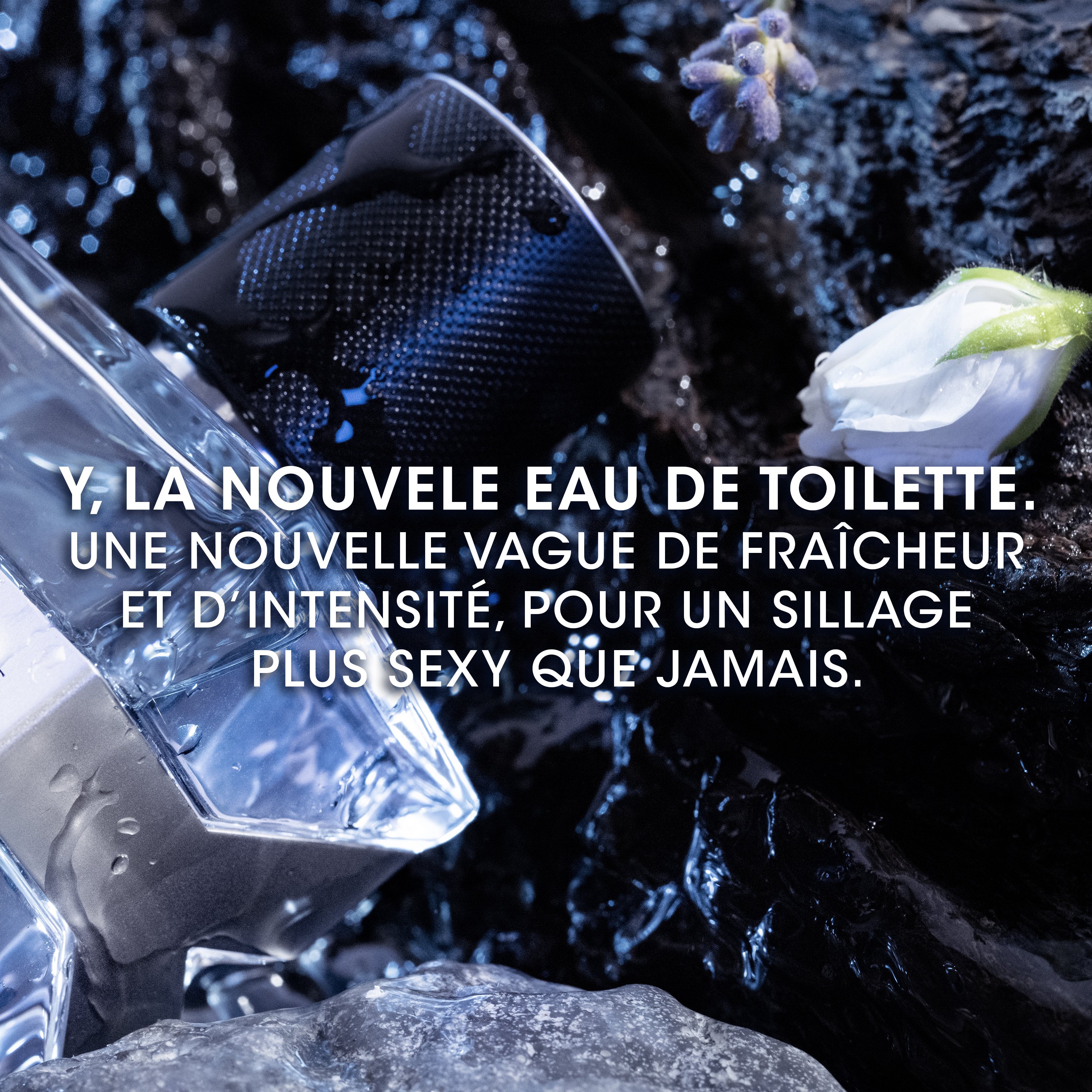 Y Eau de Toilette YVES SAINT LAURENT No color