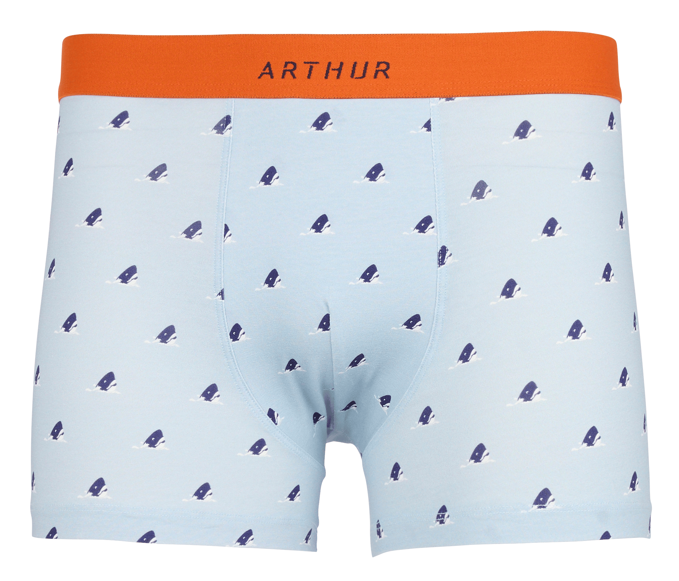 Boxershort met print | biokatoenblend ARTHUR Blauw