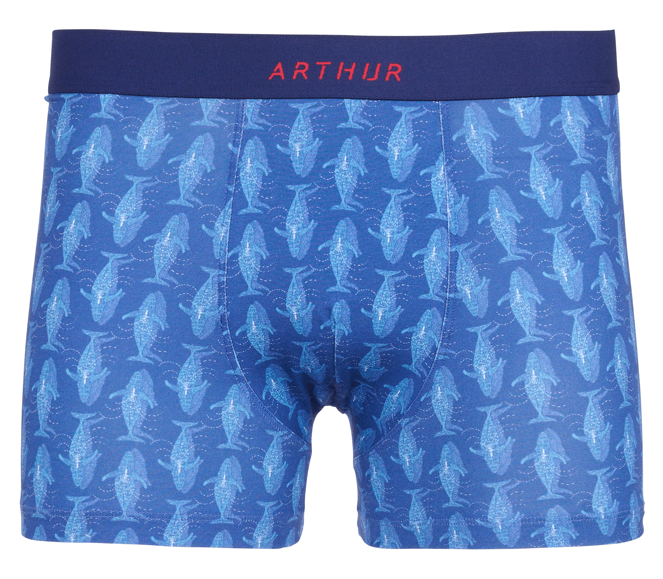 Boxershort met print | biokatoenblend ARTHUR Blauw