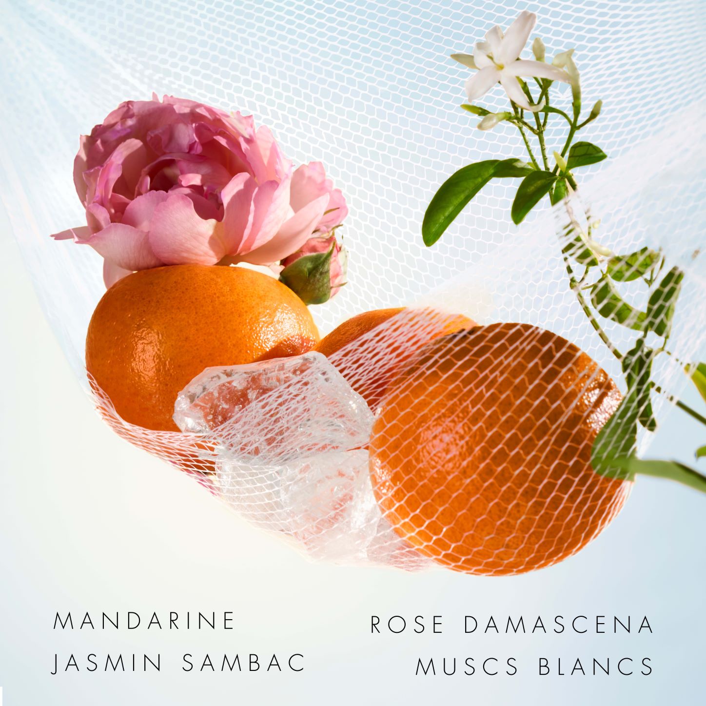 POPPY BOUQUET Eau de Toilette KENZO PARFUMS No color