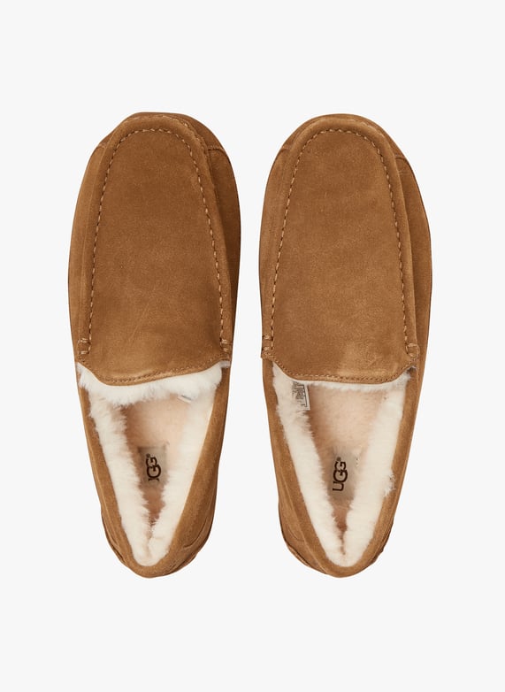 Fur-Lined sheepskin slippers Chestnut Ugg Men Place des Tendances