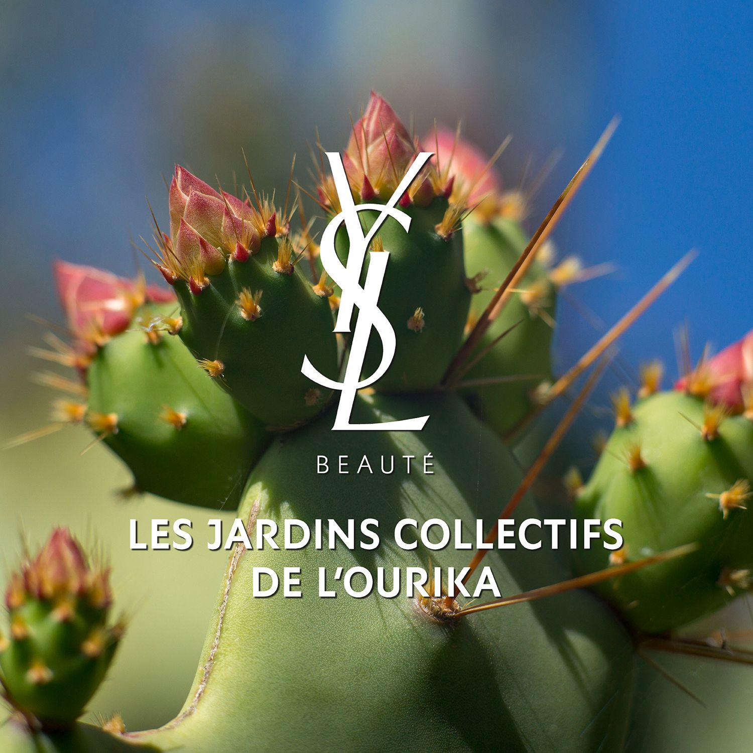 Libre Hair &amp; Body Oil YVES SAINT LAURENT No color