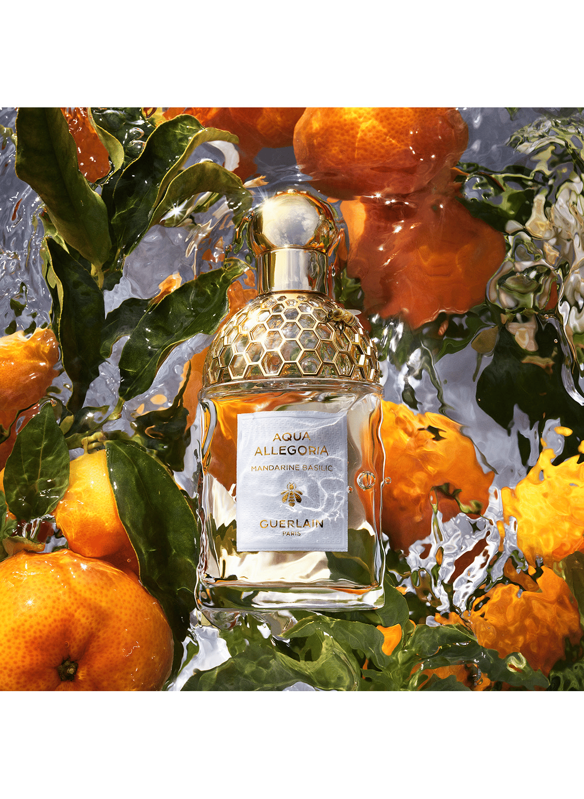Aqua Allegoria Mandarine Basilic - Coffret Eau de Toilette GUERLAIN No color
