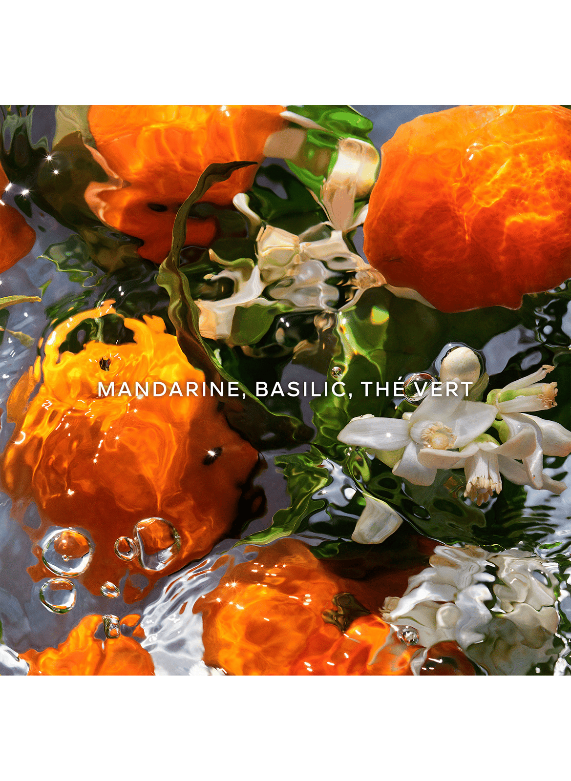 Aqua Allegoria Mandarine Basilic - Coffret Eau de Toilette GUERLAIN No color