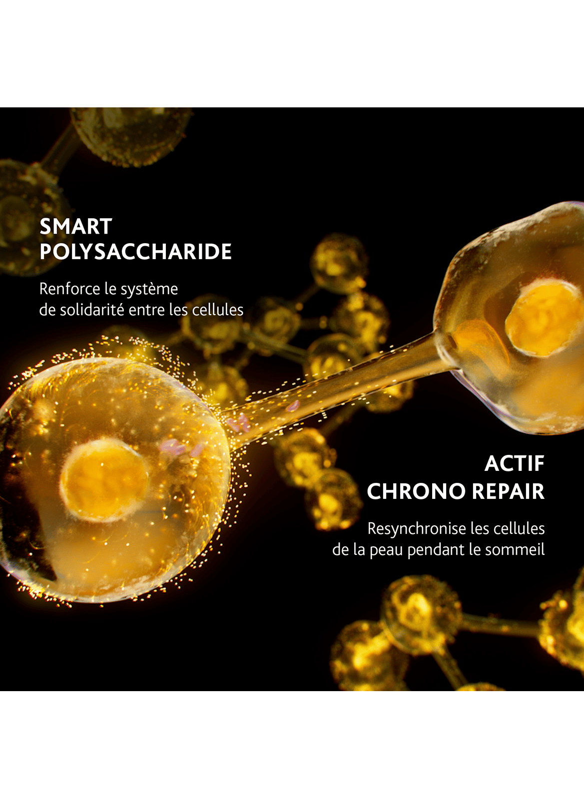 EXCELLAGE NT HUILE DE NUIT CHRONO-RÉPARATRICE ESTHEDERM No color