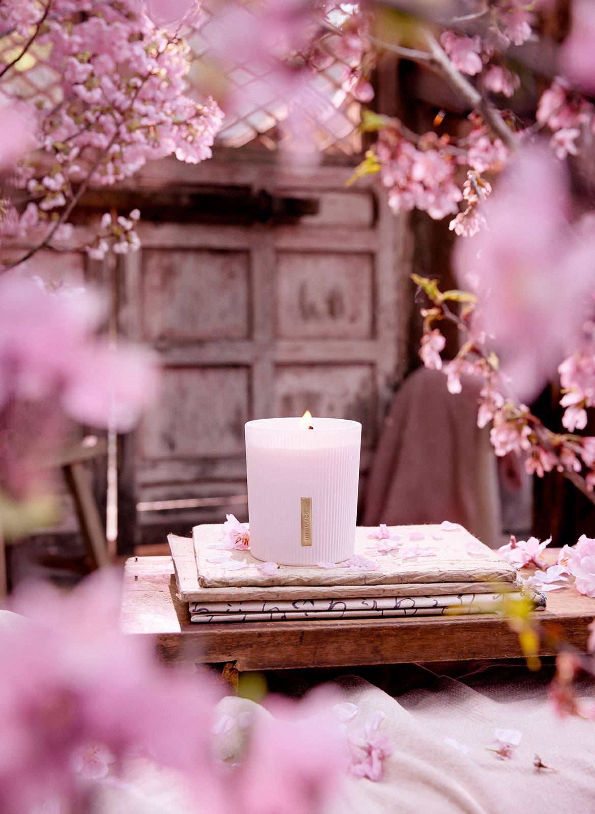 The Ritual of Sakura - Duftkerze RITUALS No color