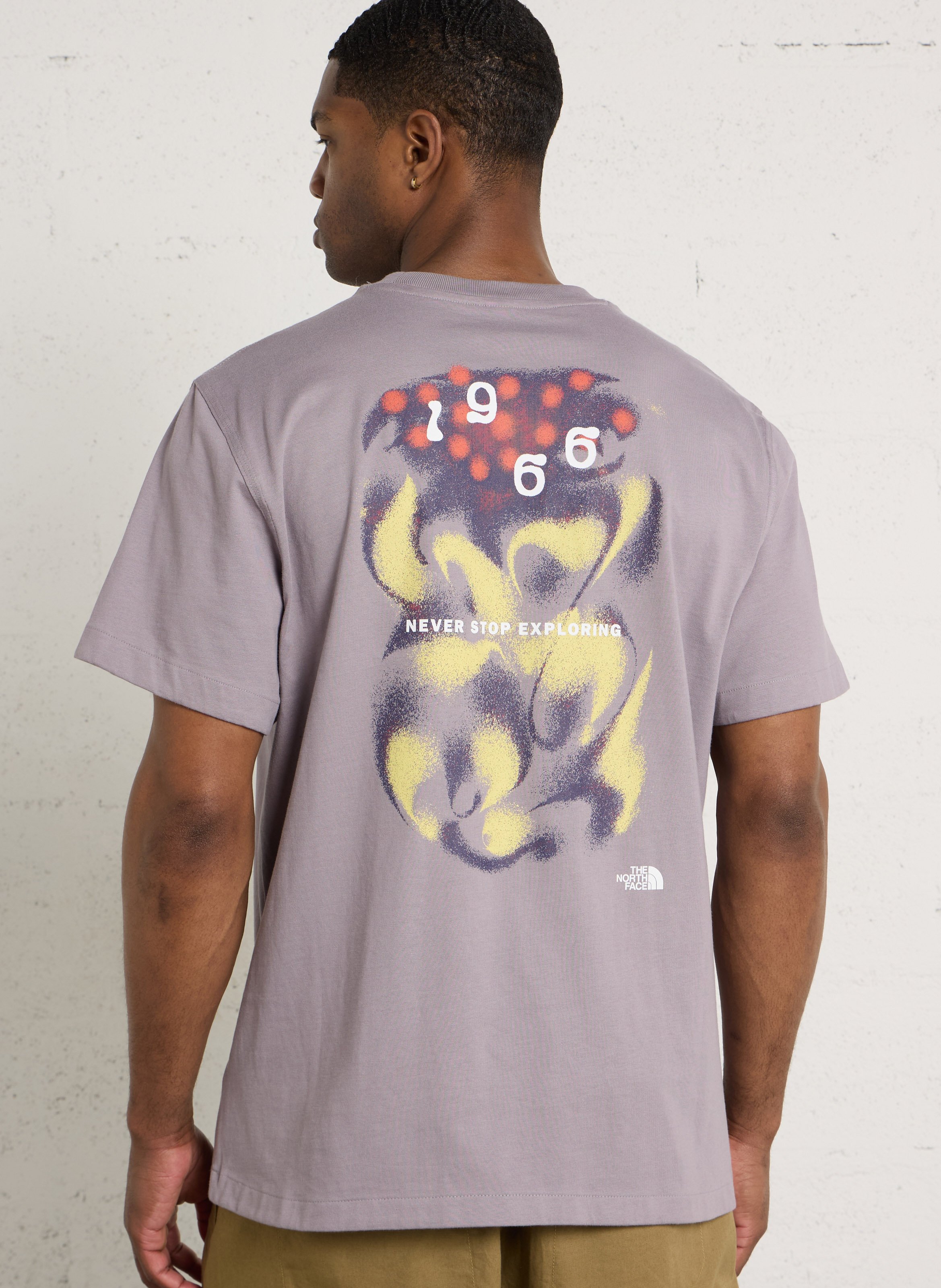 Recht, katoenen T-shirt met ronde hals en zeefdruk THE NORTH FACE Grijs