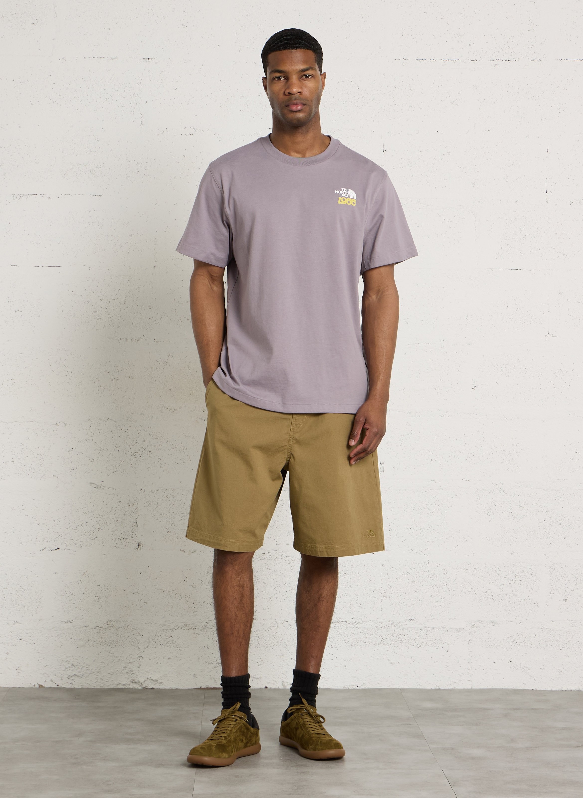 Recht, katoenen T-shirt met ronde hals en zeefdruk THE NORTH FACE Grijs