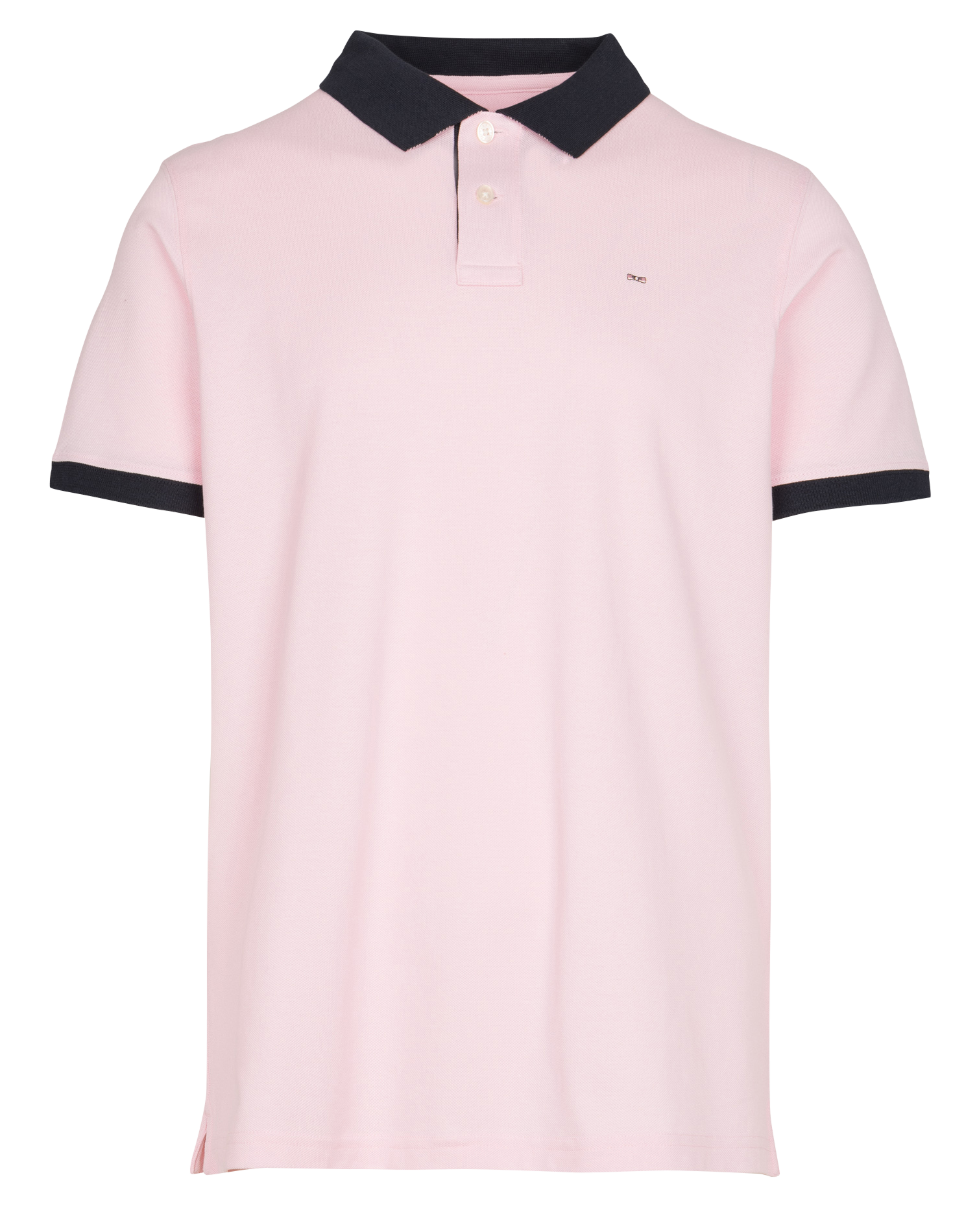 Straight cotton polo shirt EDEN PARK