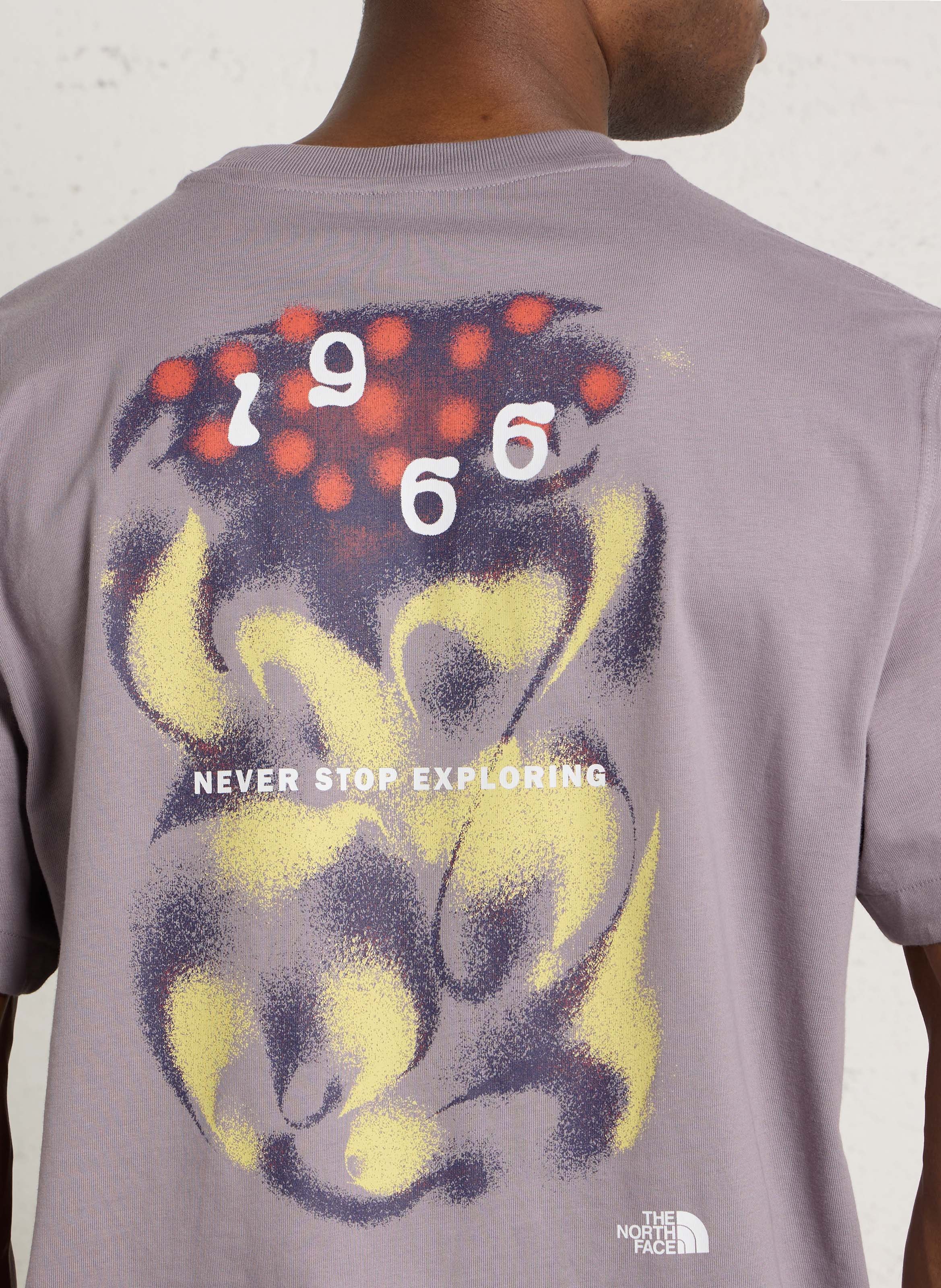 Recht, katoenen T-shirt met ronde hals en zeefdruk THE NORTH FACE Grijs