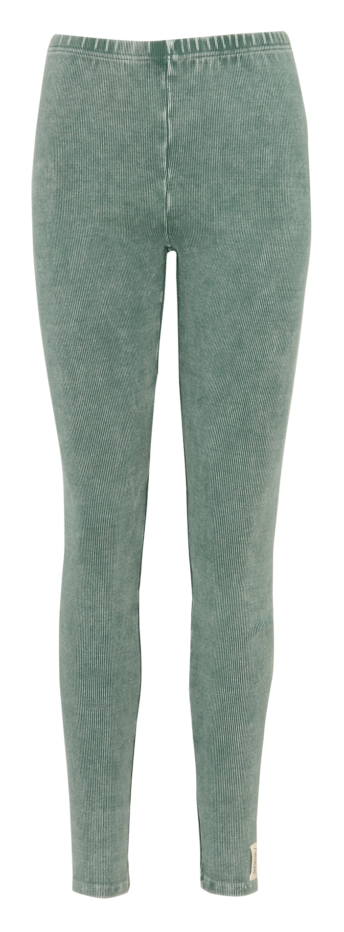 Legging en coton NEWTONE Vert