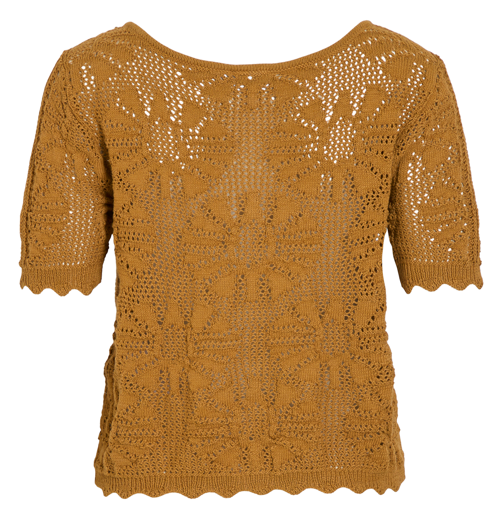 Chaleco recto de manga corta en encaje. Marron