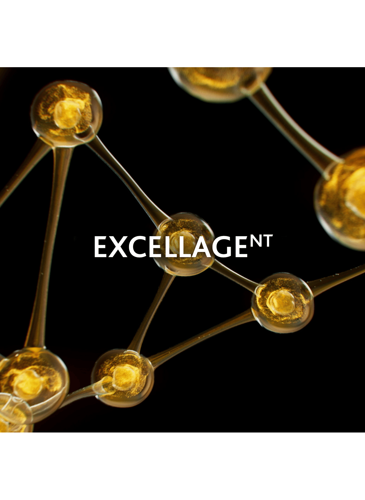 EXCELLAGE NT SERUM ESTHEDERM No color