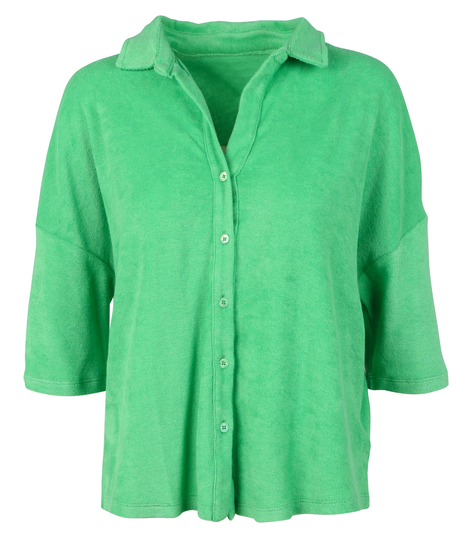 Top col classique en coton mélangé MAJESTIC FILATURES Vert