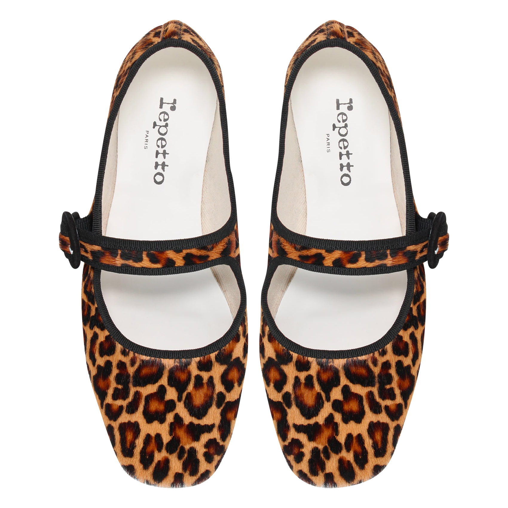 Ballet pumps REPETTO Brown