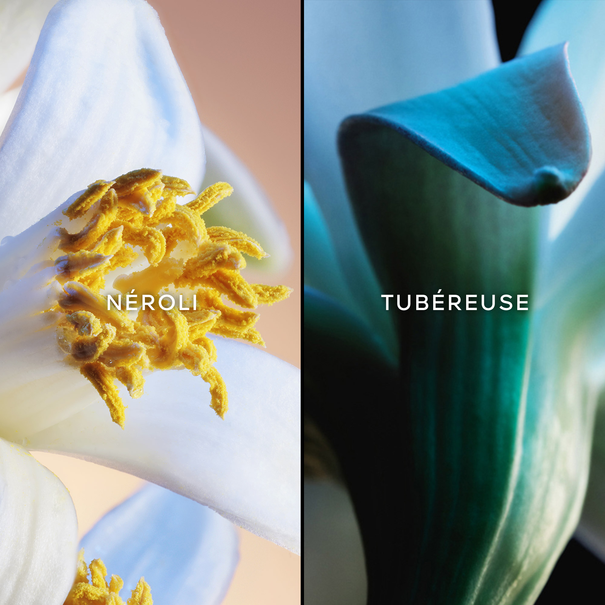 Jardins De Bagatelle Eau de Toilette GUERLAIN No color