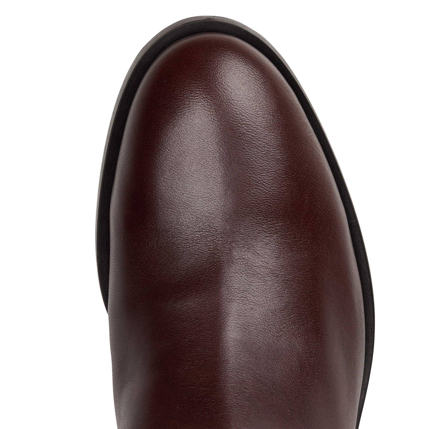 Bottines en cuir ODARE Marron