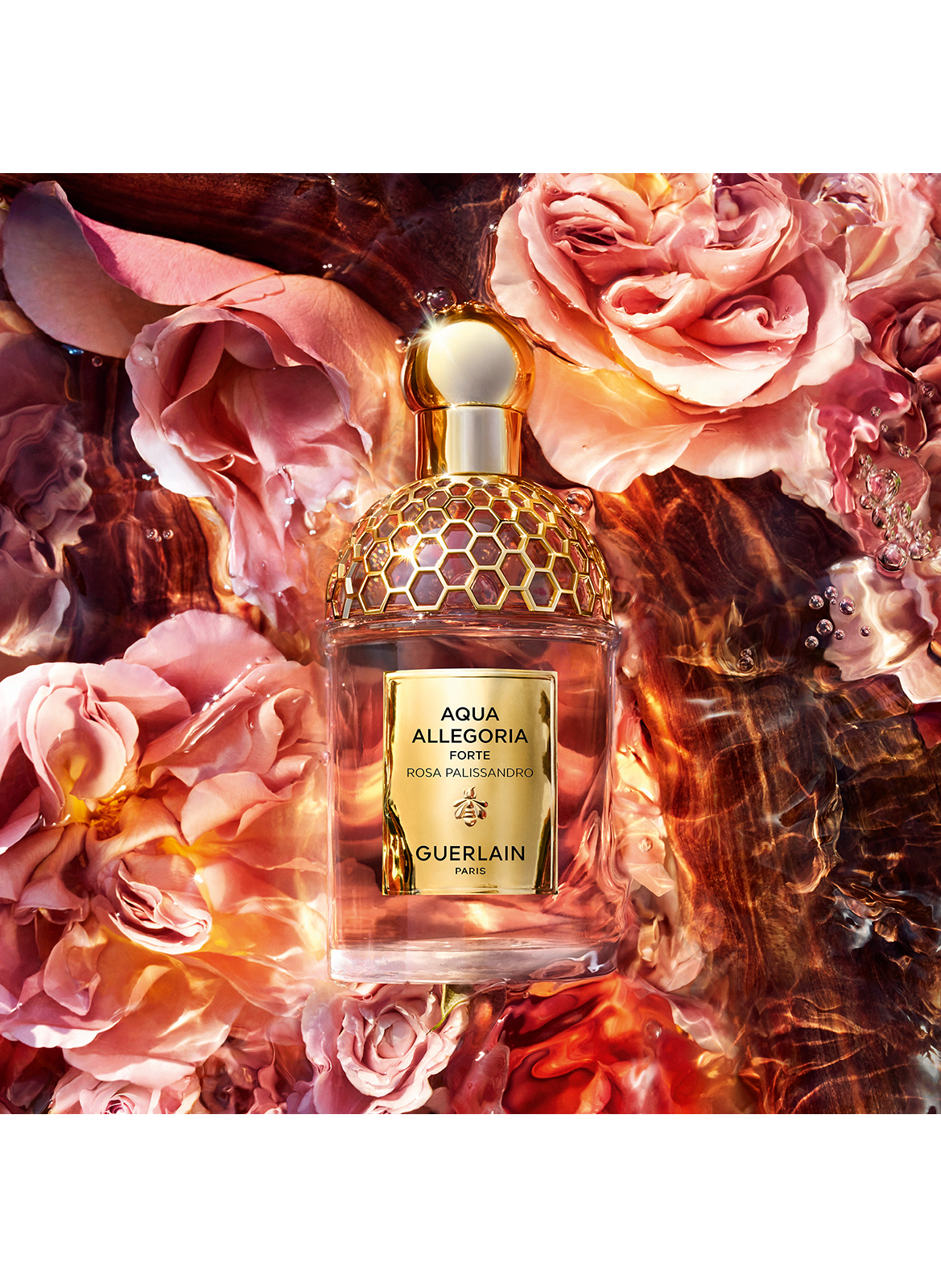 AQUA ALLEGORIA FORTE Rosa Palissandro - Eau de Parfum GUERLAIN No color