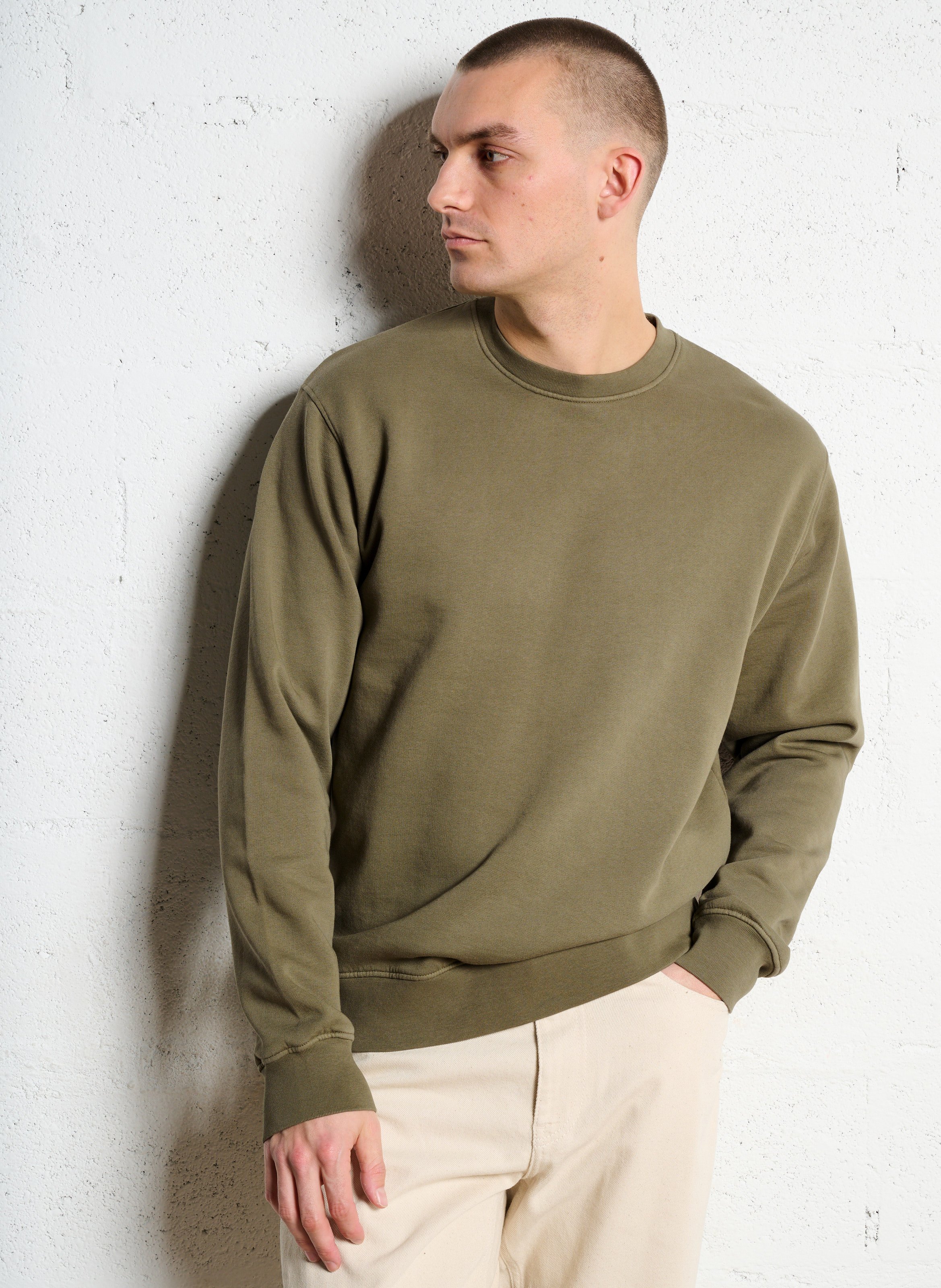 Rundhals-Sweatshirt aus Bio-Baumwolle, Regular Fit COLORFUL STANDARD
