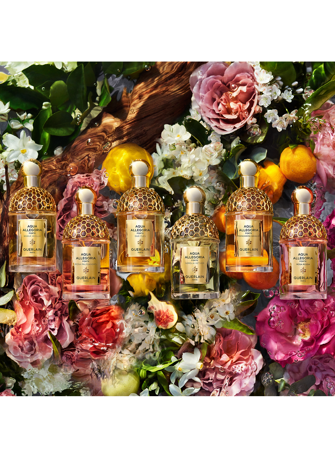 AQUA ALLEGORIA FORTE Rosa Palissandro - Eau de Parfum GUERLAIN No color