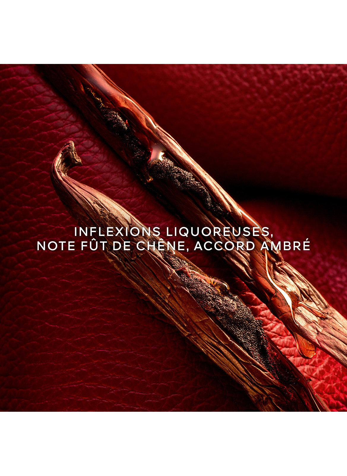 HABIT ROUGE SPIRIT GUERLAIN No color