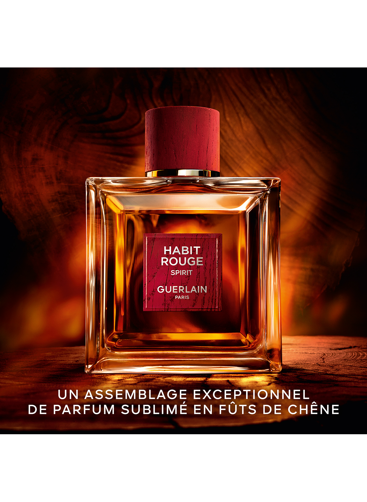 【定価:26,400円】GUERLAIN HABIT ROUGE SPIRIT HABIT ROUGE SPIRIT (60th ANNIVERSARY EDITION) (2025