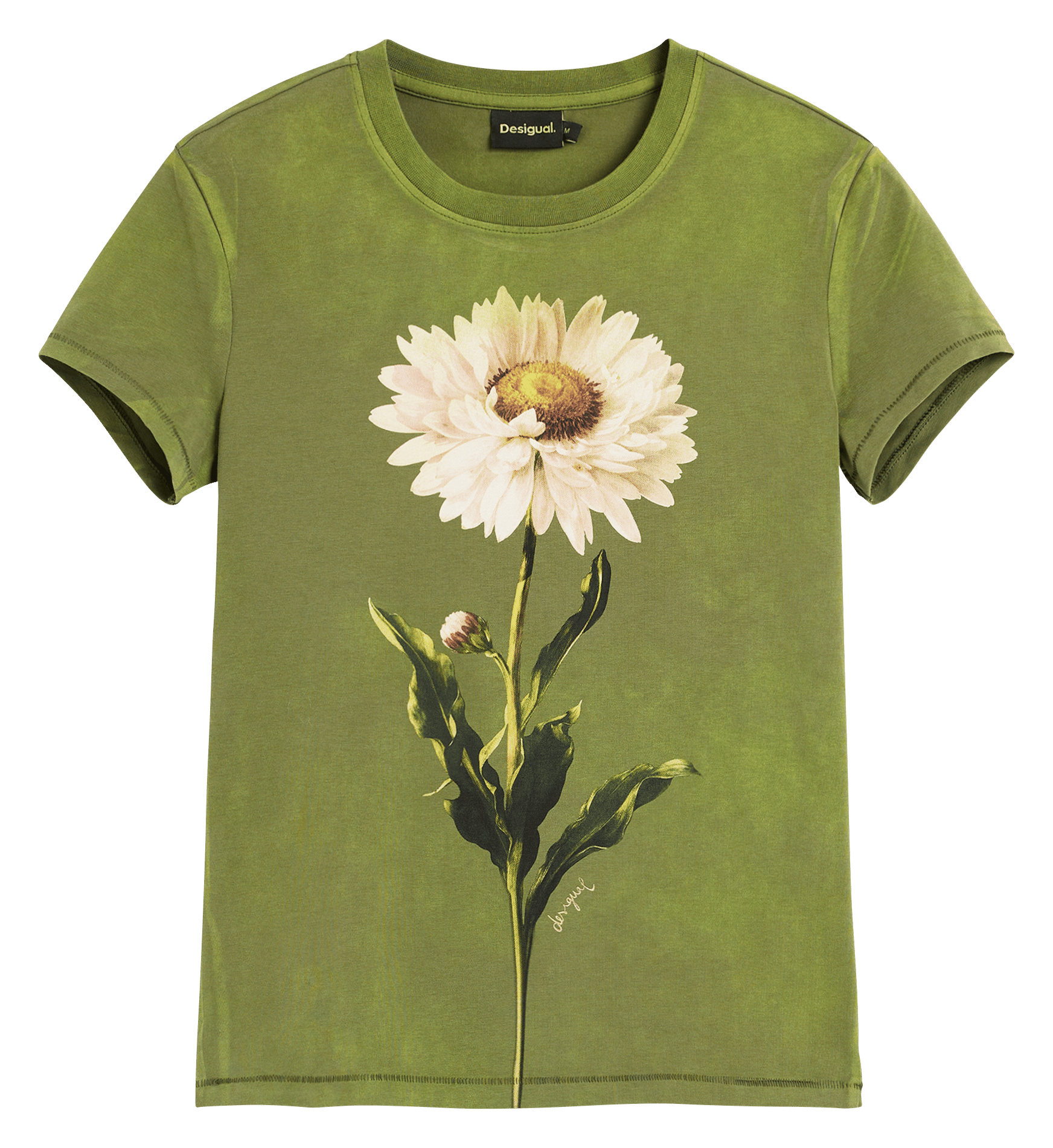 Short-sleeved printed T-shirt DESIGUAL Green
