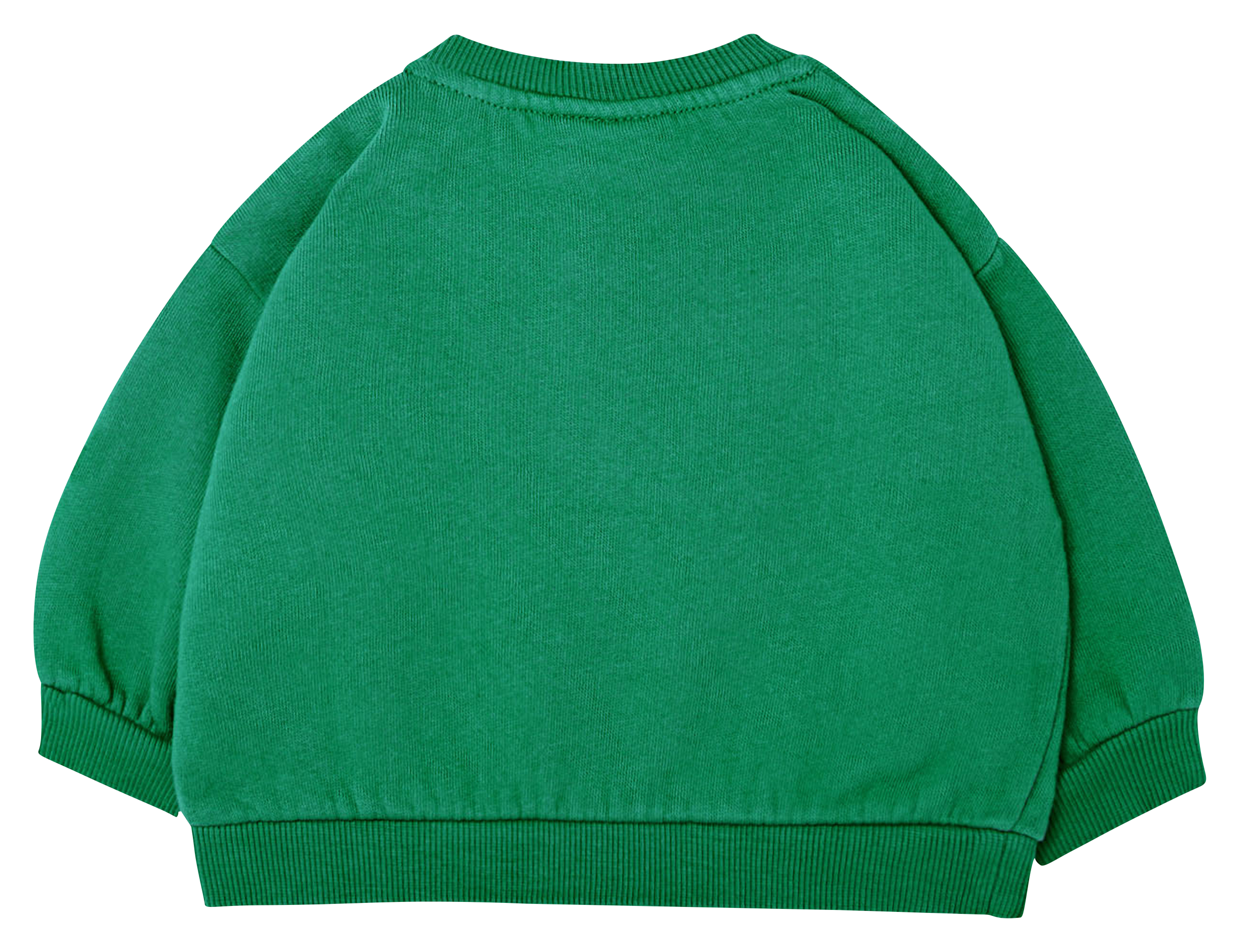 Sweat col rond imprimé en coton bio  THE CAMPAMENTO Vert
