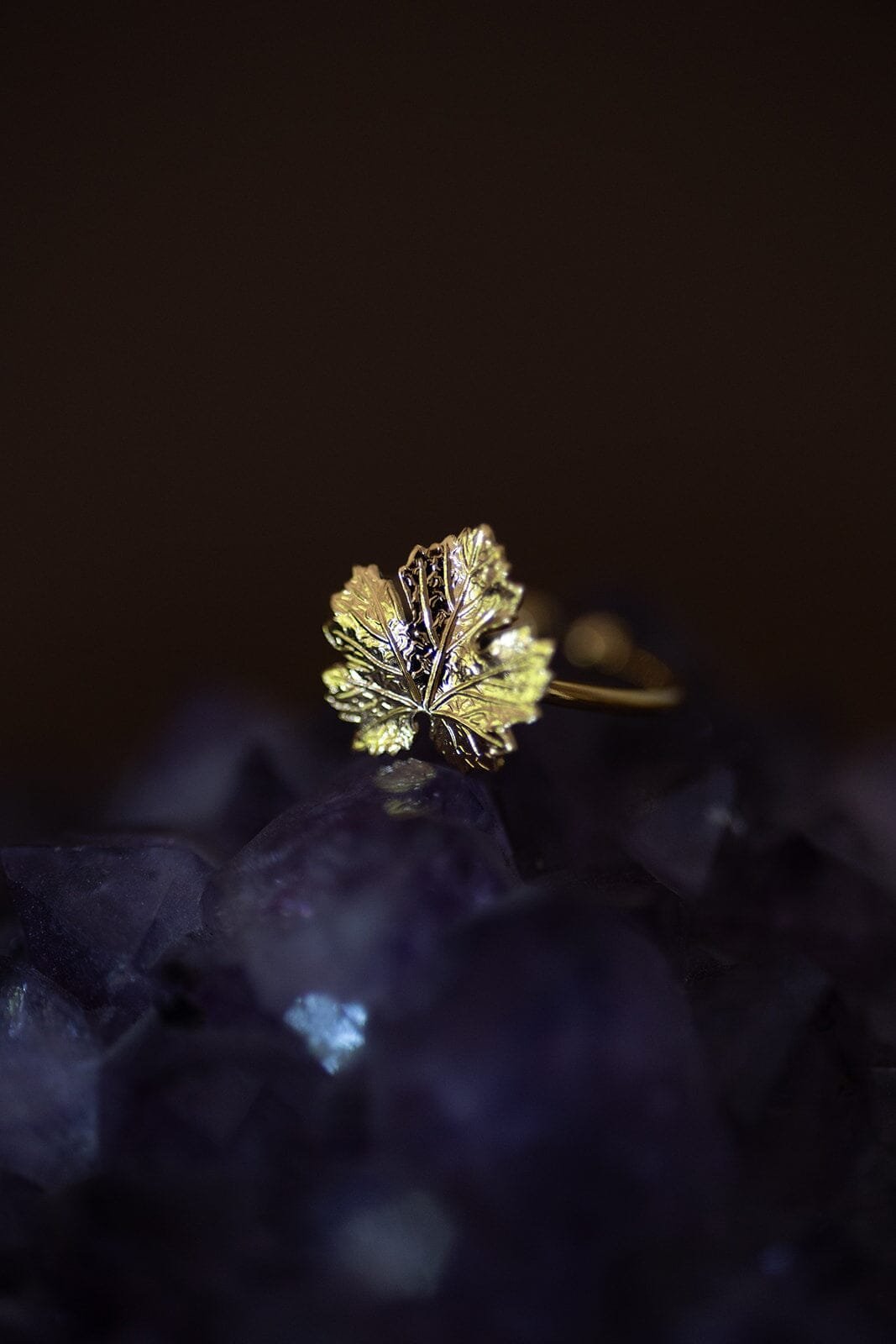 HÉRA - Fine gold-plated leaf ring MONSIEUR SIMONE Golden