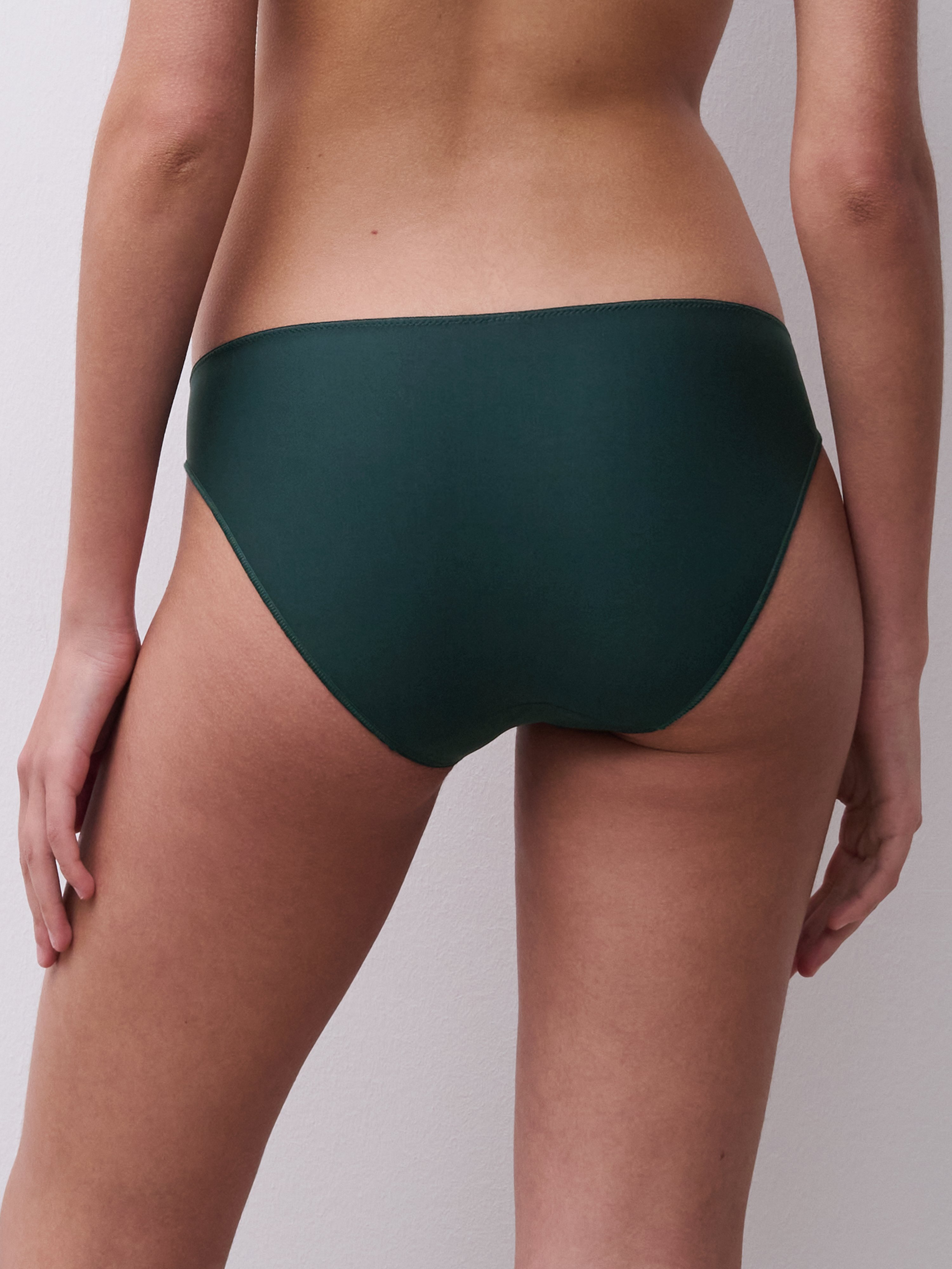 Evolving briefs CHANTELLE Multicolored