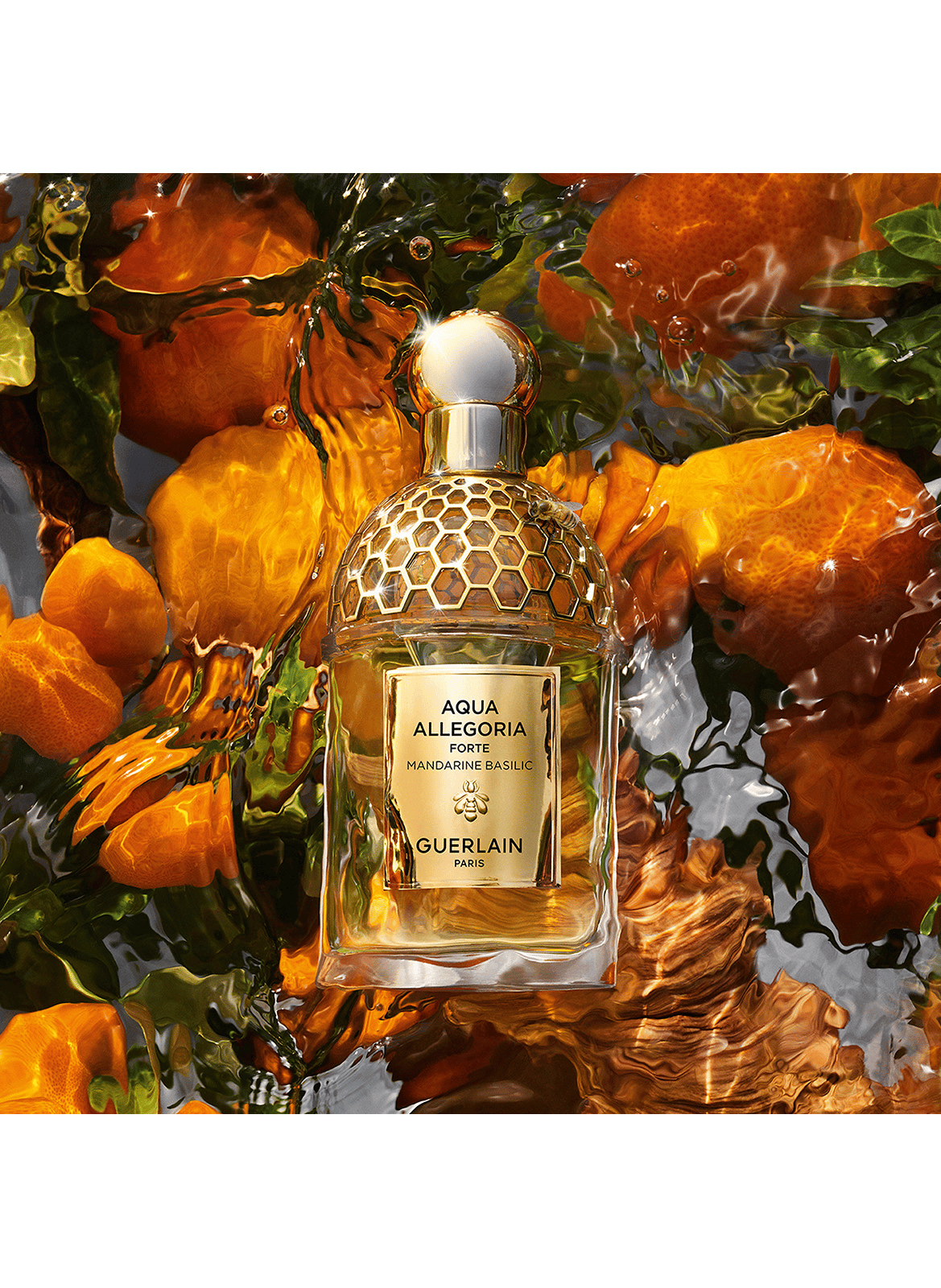 Aqua Allegoria Mandarine Basilic Forte - Coffret Eau de Parfum GUERLAIN No color