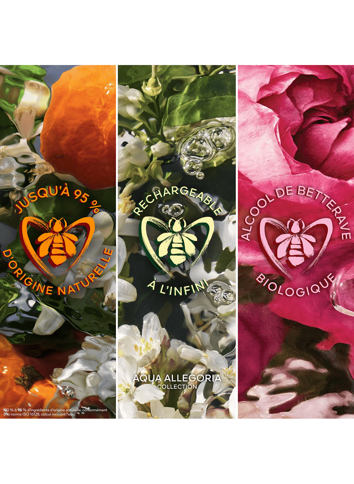 Aqua Allegoria Mandarine Basilic Forte - Coffret Eau de Parfum GUERLAIN No color