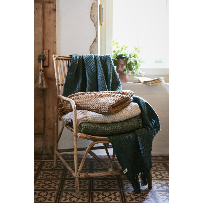 Pure cotton plaid L'EFFET PAPILLON Brown