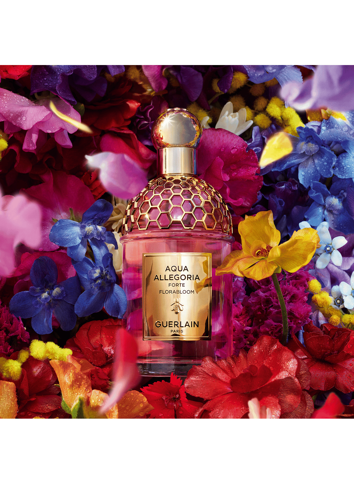 Aqua Allegoria Florabloom Forte - Coffret Eau de Parfum GUERLAIN No color