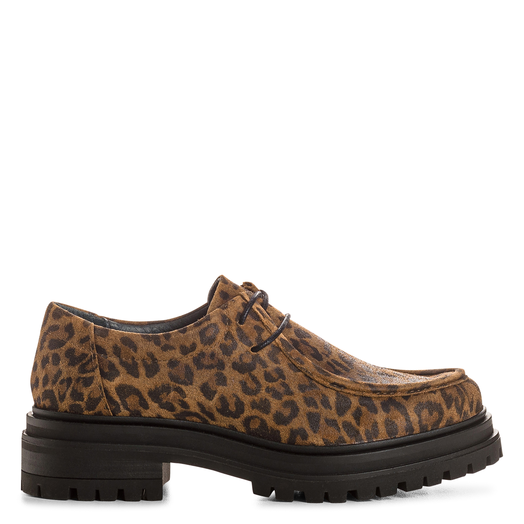 Derby's van leer REQINS Bruin