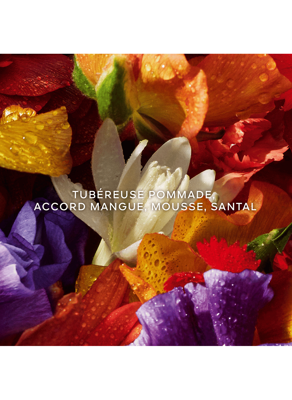 Aqua Allegoria Florabloom Forte - Coffret Eau de Parfum GUERLAIN No color