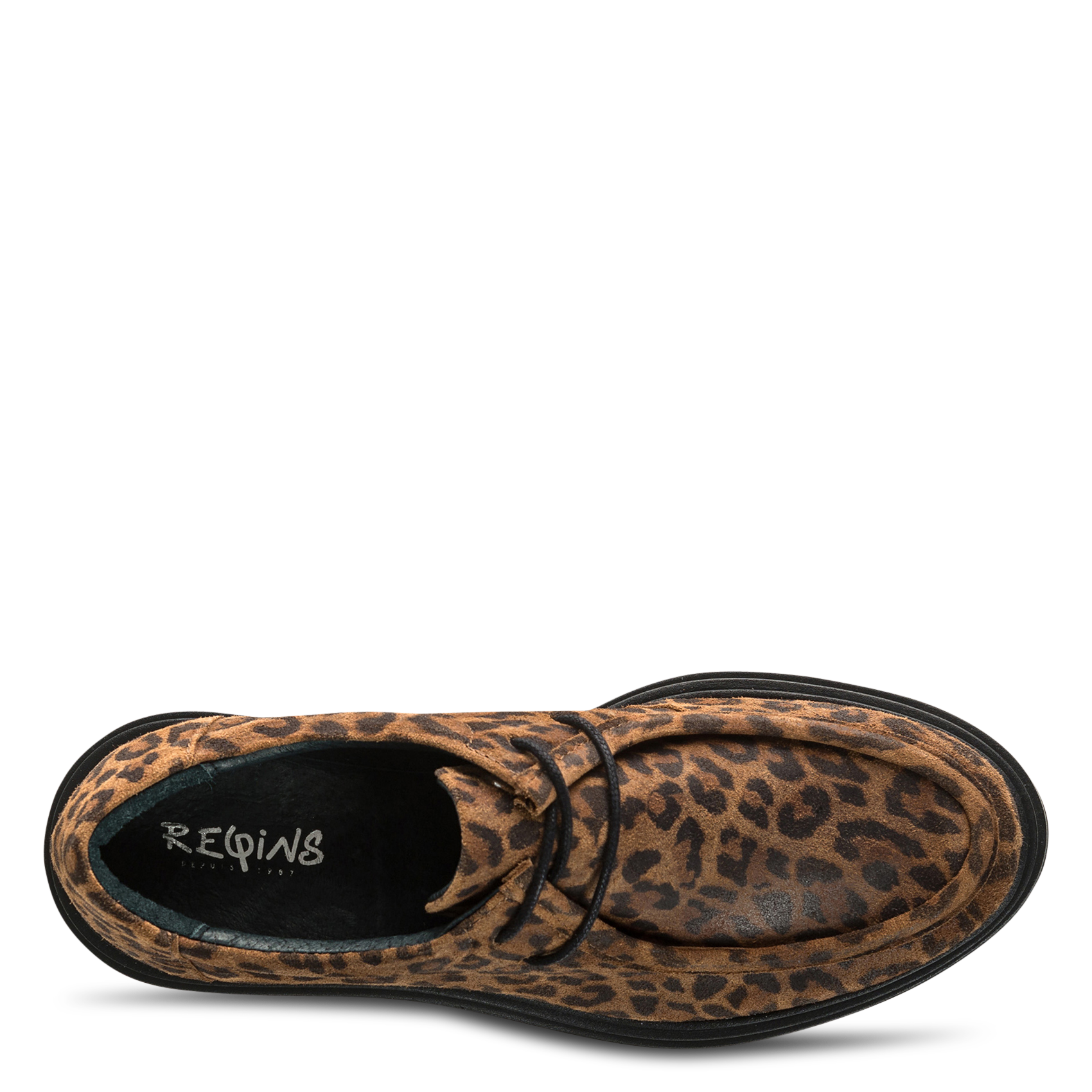 Derby's van leer REQINS Bruin