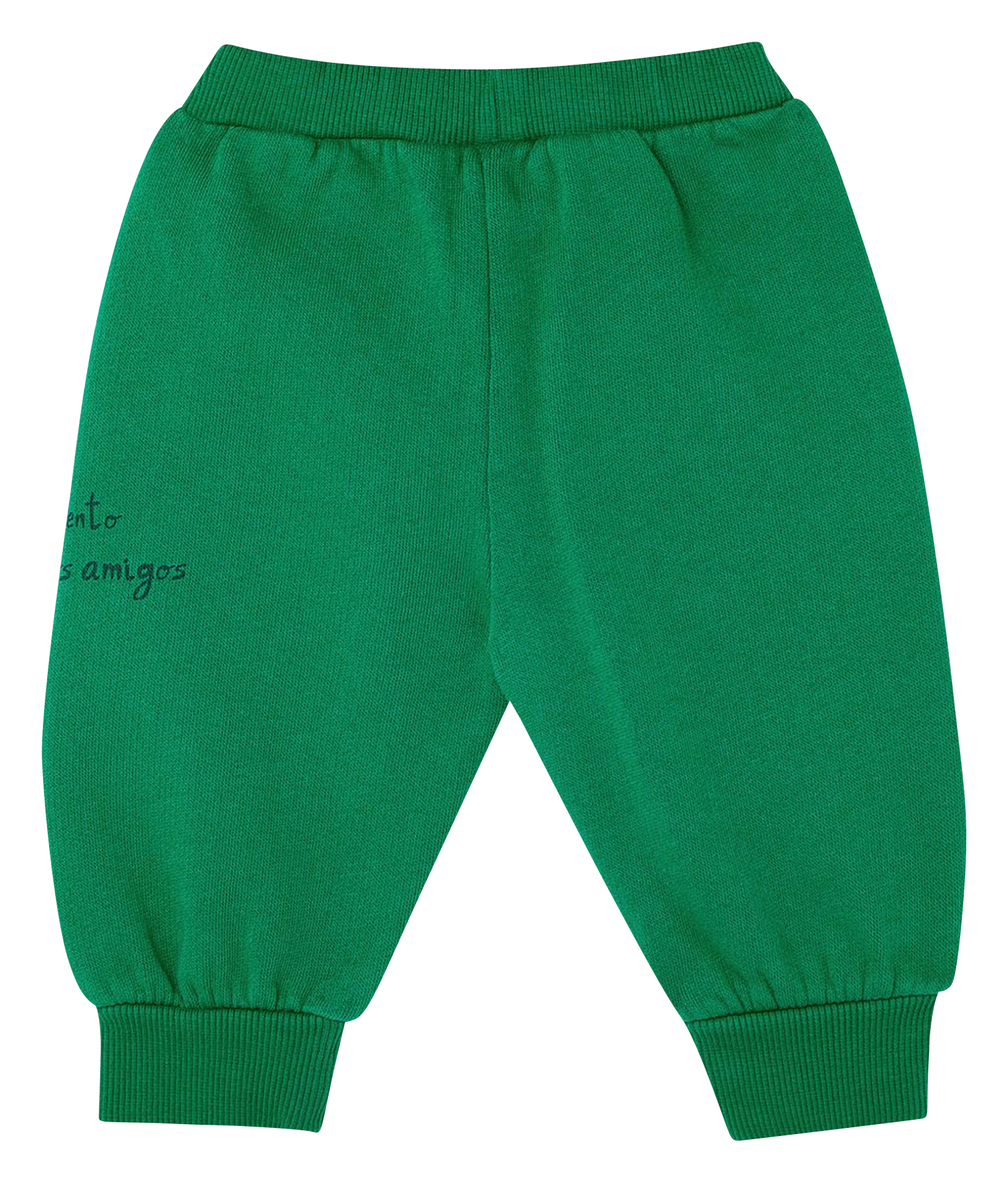 Pantalon droit en coton bio  Vert