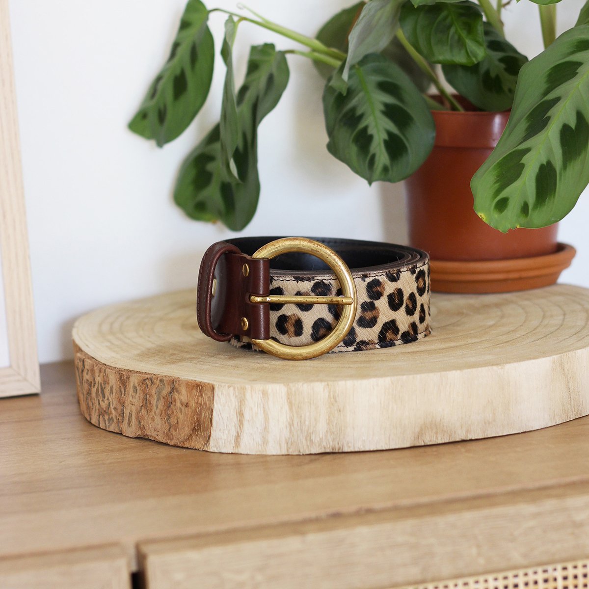 Bohemian pony leather belt JULES & JENN Multicolored