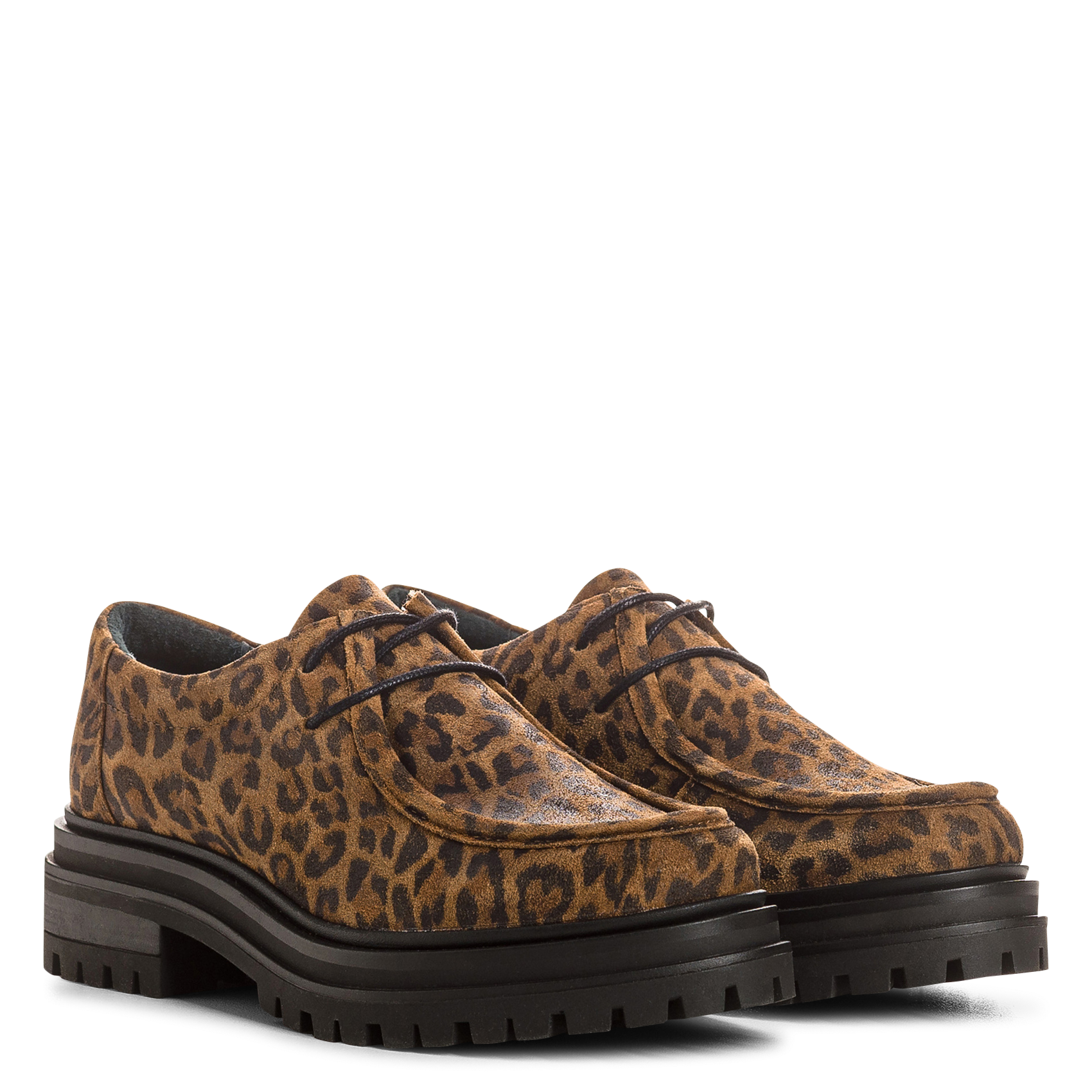 Derby's van leer REQINS Bruin